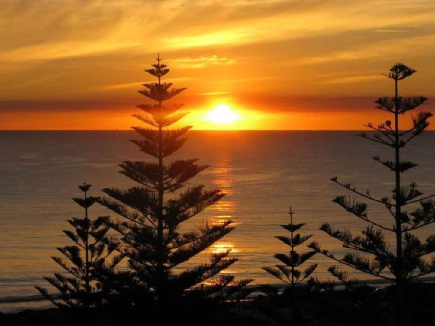 Acacia Holiday Or Business Stay - Quiet Location Perth Eksteriør billede
